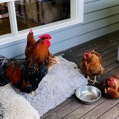 Farm Stay Maple Cottage At Wilindi Estate Tyabb Buitenkant foto
