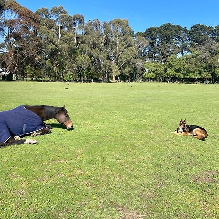Farm Stay Maple Cottage At Wilindi Estate Tyabb Buitenkant foto