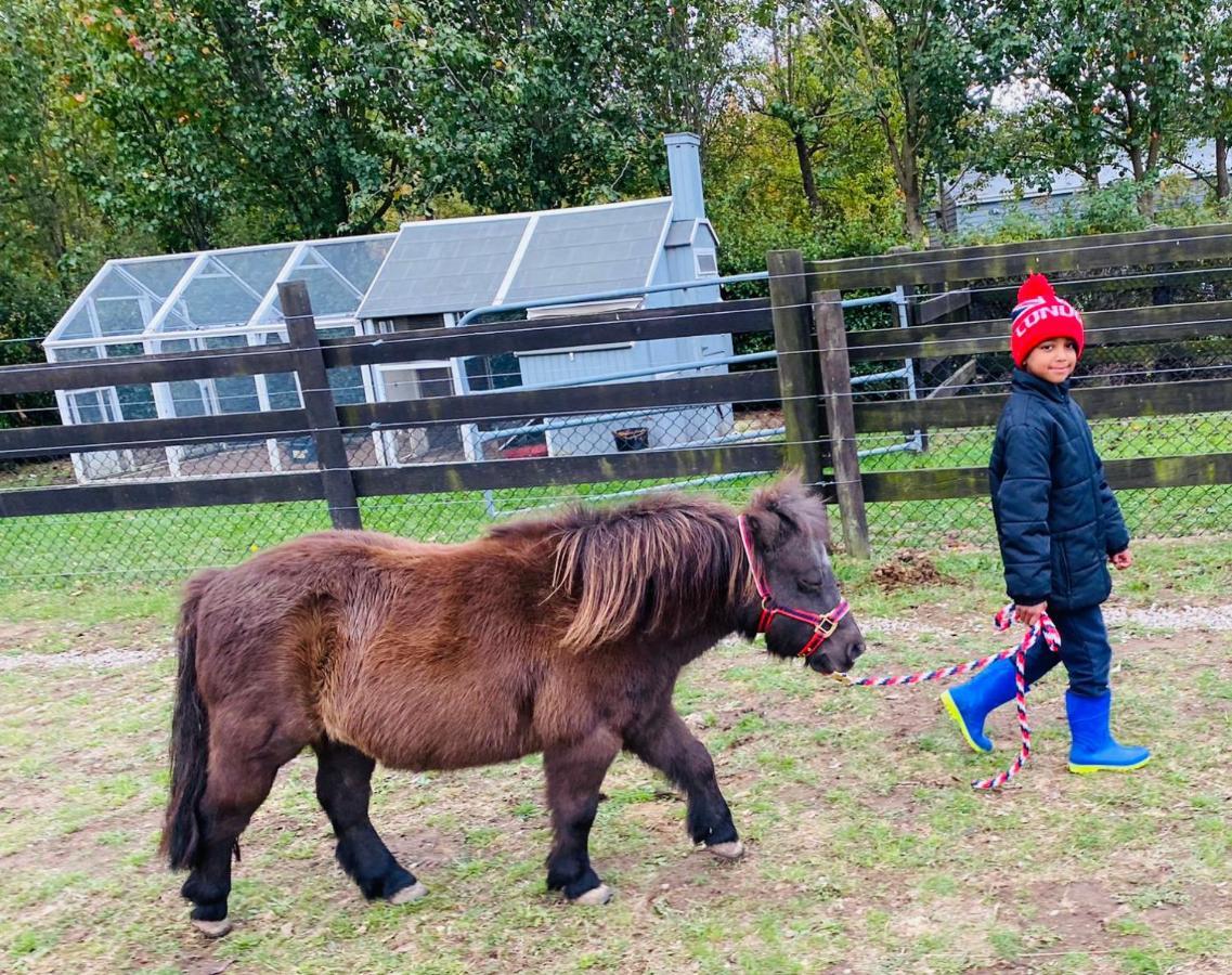 Farm Stay Maple Cottage At Wilindi Estate Tyabb Buitenkant foto