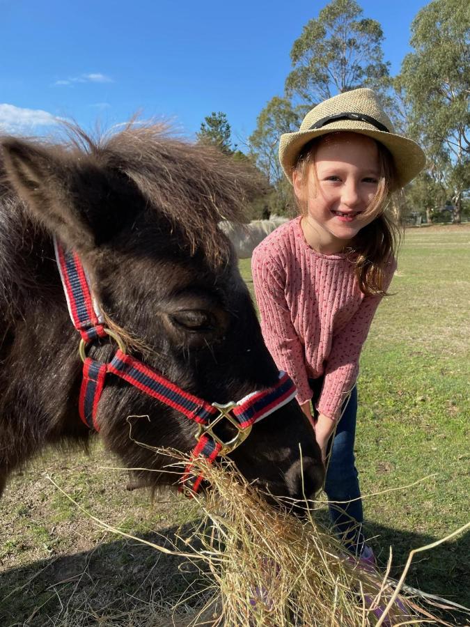 Farm Stay Maple Cottage At Wilindi Estate Tyabb Buitenkant foto
