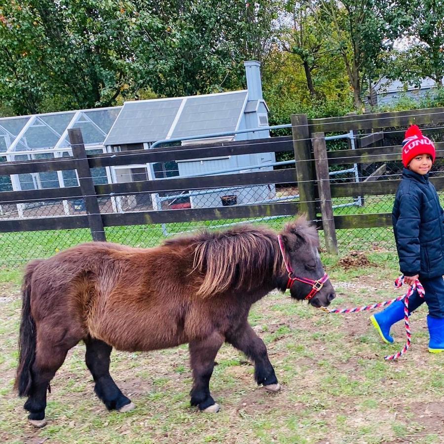 Farm Stay Maple Cottage At Wilindi Estate Tyabb Buitenkant foto