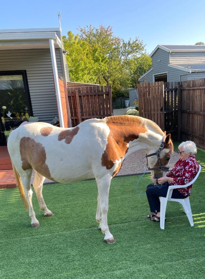 Farm Stay Maple Cottage At Wilindi Estate Tyabb Buitenkant foto